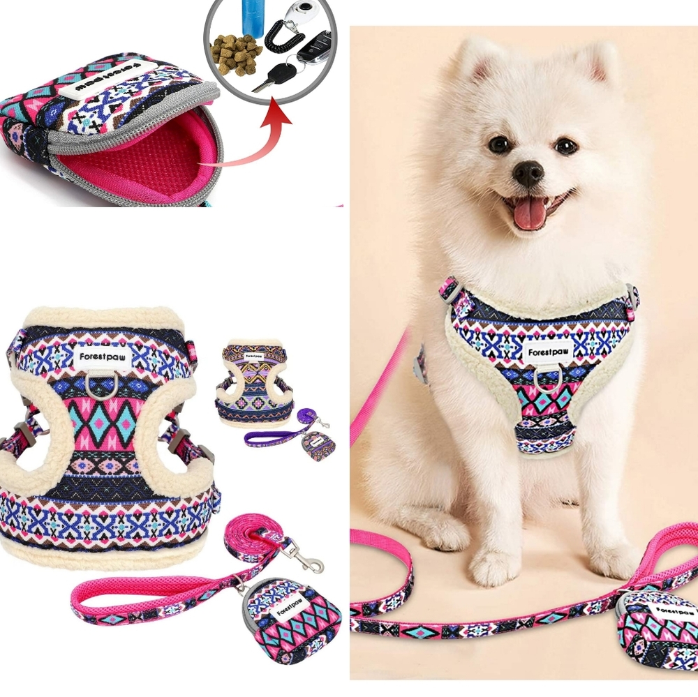 DOG halter & leash